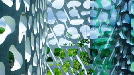 immagine-2026-08-04-152223.png